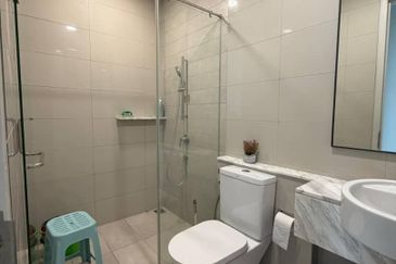 Cyperus @ Tropicana Gardens