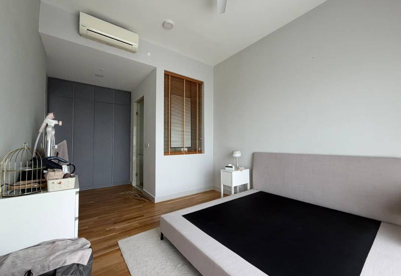 Cyperus @ Tropicana Gardens