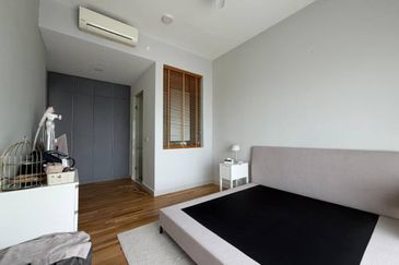 Cyperus @ Tropicana Gardens