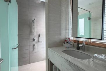 Cyperus @ Tropicana Gardens