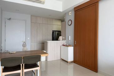 Cyperus @ Tropicana Gardens