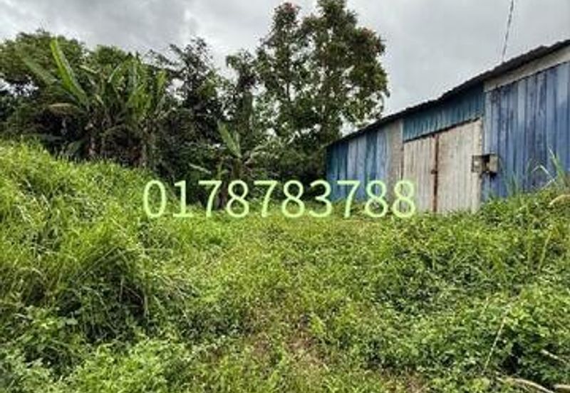 Seelong kampung baru 