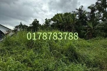 Seelong kampung baru 