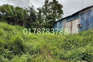 Seelong kampung baru 