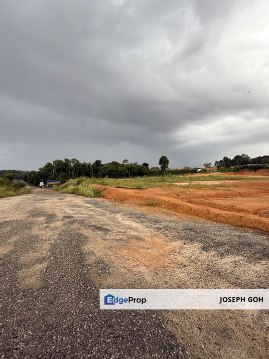 Senai Palm oil tree, near Taman Impian Jaya, Johor, Senai