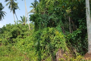 Jalan Bukit Minyak land for sale