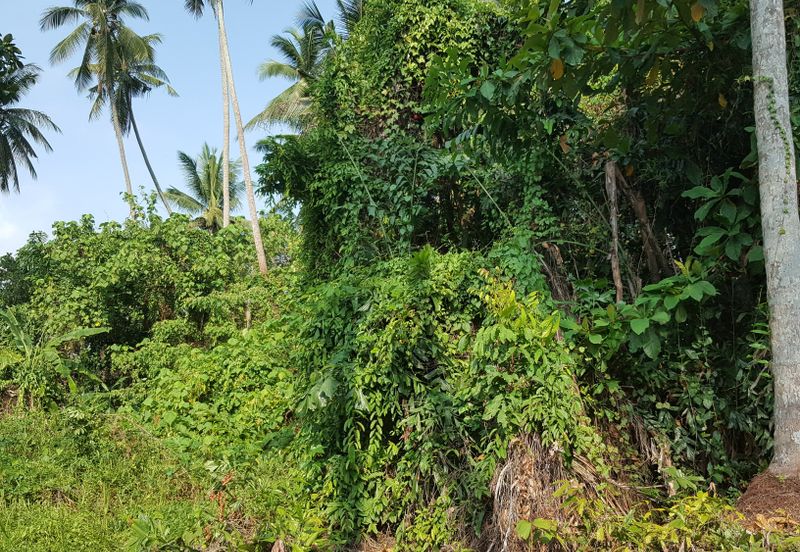 Jalan Bukit Minyak land for sale