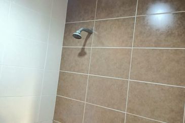 Desa Idaman, Taman Puchong Prima