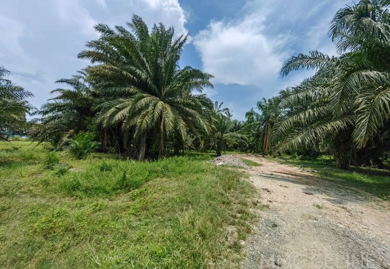Teluk Panglima Garang