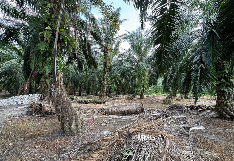 Teluk Panglima Garang