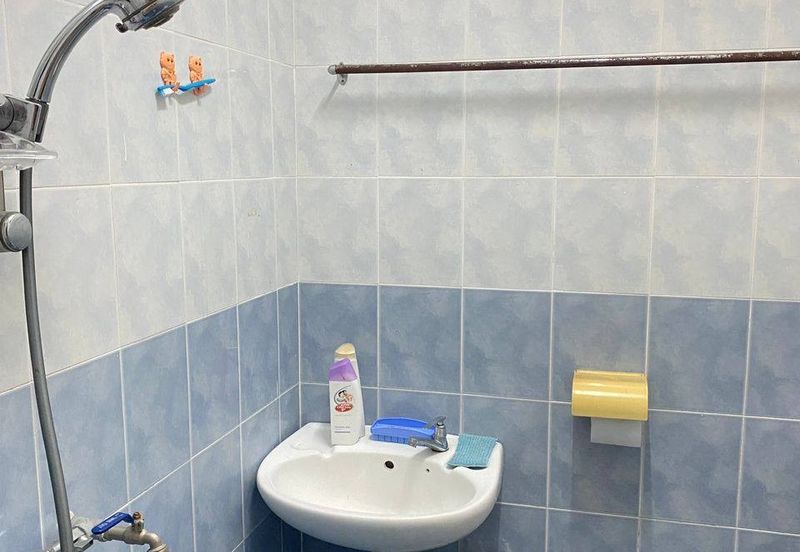 Ipoh tambun permai lake view fully furnished ground apartment for rent