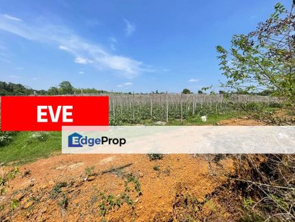 Agriculture Land for SALE Sungai Petani Kedah, Kedah, Sungai Petani