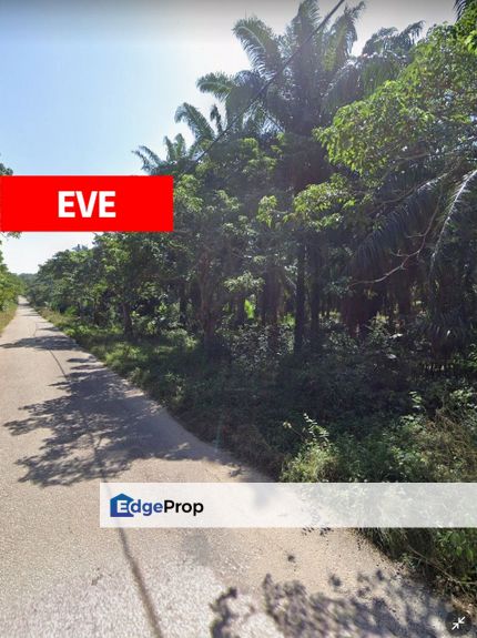 Agriculture Land for Sale Bukit Selambau, Kedah, Sungai Petani