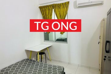 The Golden Triangle 2