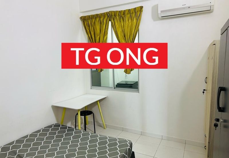 The Golden Triangle 2