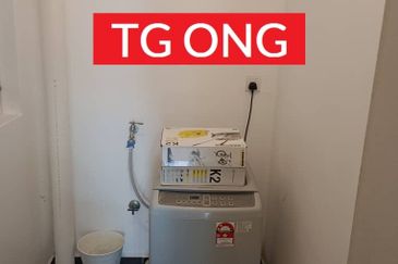 Eco Bloom @ Eco Meadows