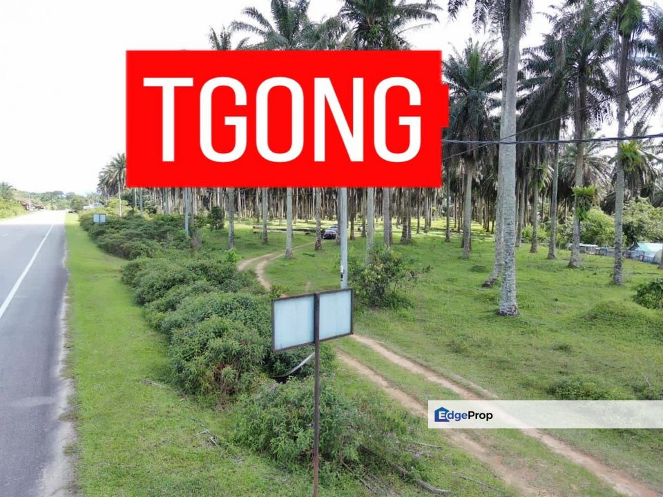 LAND SALE AT SELAMA PERAK AGRICULTURE LAND 25.67 ACRE, Perak, Selama