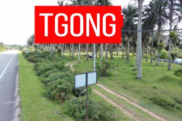 LAND SALE AT SELAMA PERAK AGRICULTURE LAND 25.67 ACRE