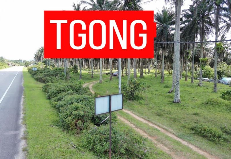LAND SALE AT SELAMA PERAK AGRICULTURE LAND 25.67 ACRE