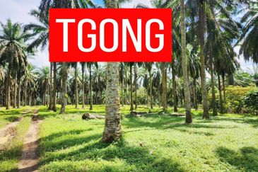 LAND SALE AT SELAMA PERAK AGRICULTURE LAND 25.67 ACRE