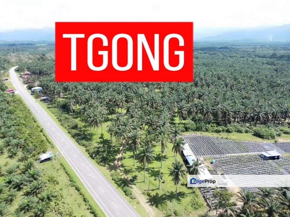 LAND SALE AT SELAMA PERAK AGRICULTURE LAND 25.67 ACRE, Perak, Selama