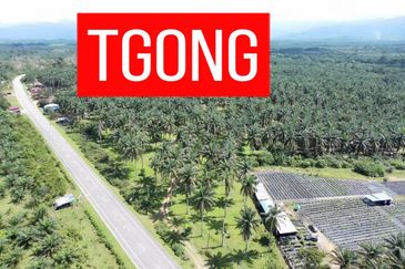 LAND SALE AT SELAMA PERAK AGRICULTURE LAND 25.67 ACRE