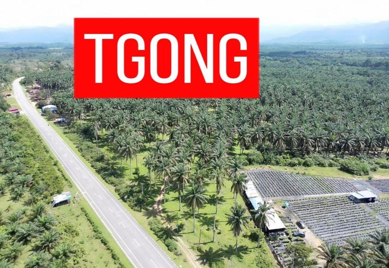 LAND SALE AT SELAMA PERAK AGRICULTURE LAND 25.67 ACRE