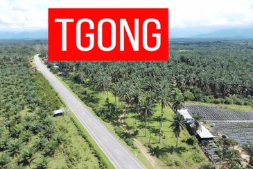 LAND SALE AT SELAMA PERAK AGRICULTURE LAND 25.67 ACRE