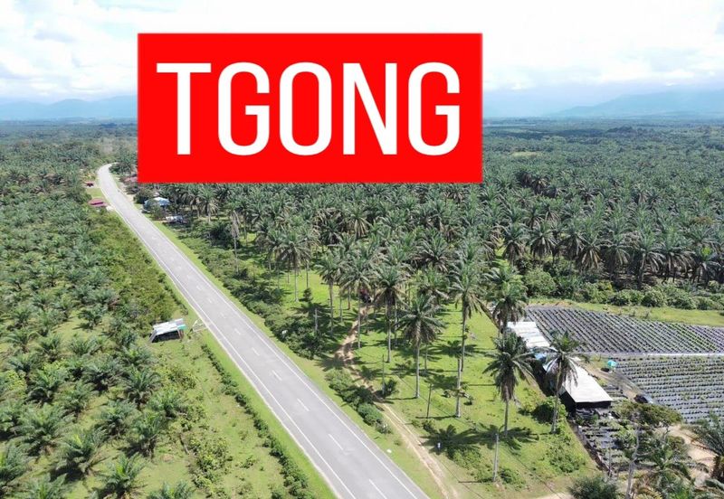 LAND SALE AT SELAMA PERAK AGRICULTURE LAND 25.67 ACRE