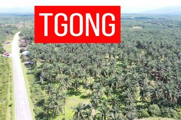 LAND SALE AT SELAMA PERAK AGRICULTURE LAND 25.67 ACRE