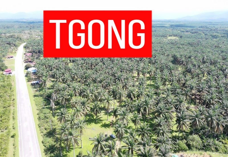 LAND SALE AT SELAMA PERAK AGRICULTURE LAND 25.67 ACRE