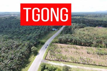LAND SALE AT SELAMA PERAK AGRICULTURE LAND 25.67 ACRE