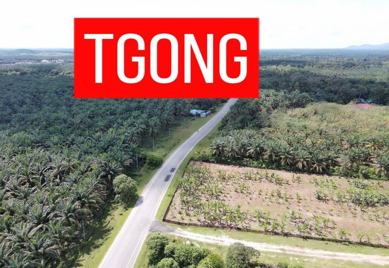 LAND SALE AT SELAMA PERAK AGRICULTURE LAND 25.67 ACRE