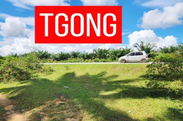 LAND SALE AT SELAMA PERAK AGRICULTURE LAND 25.67 ACRE