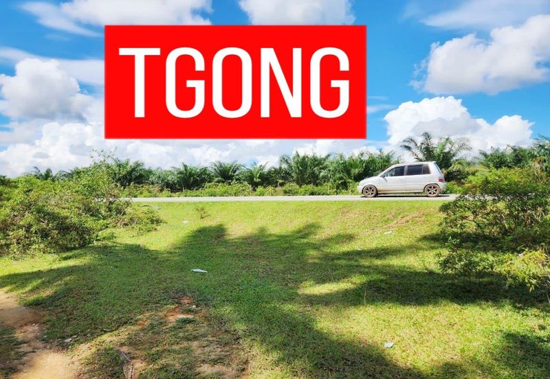 LAND SALE AT SELAMA PERAK AGRICULTURE LAND 25.67 ACRE