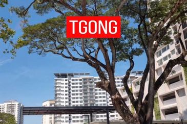 Wellspring Residence