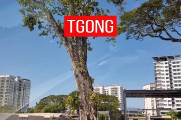 Wellspring Residence