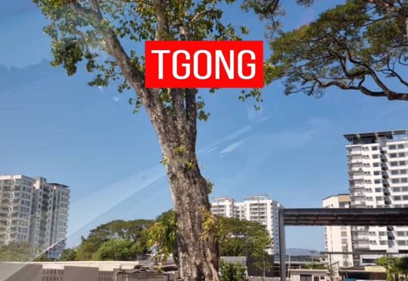 Wellspring Residence