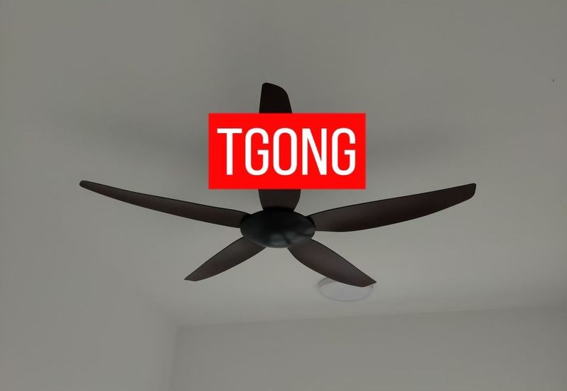 Eco Bloom @ Eco Meadows