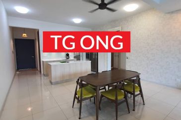 The Light Collection III