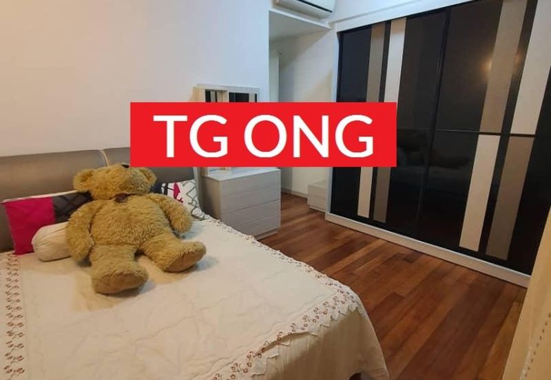 The Light Collection III