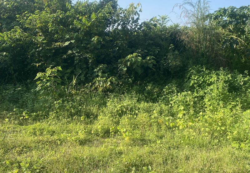 Tanah Lot Banglo Pasir Puteh