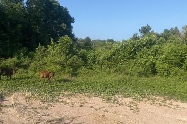 Tanah Lot Banglo Pasir Puteh