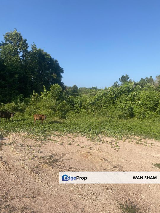 Tanah Lot Banglo Pasir Puteh, Kelantan, Pasir Puteh