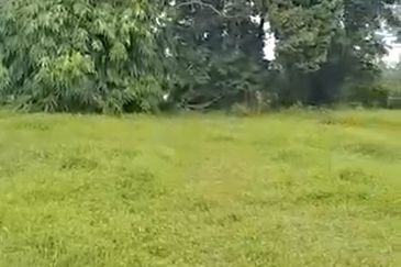 Tanah luas di Kg Kota Kota Bharu