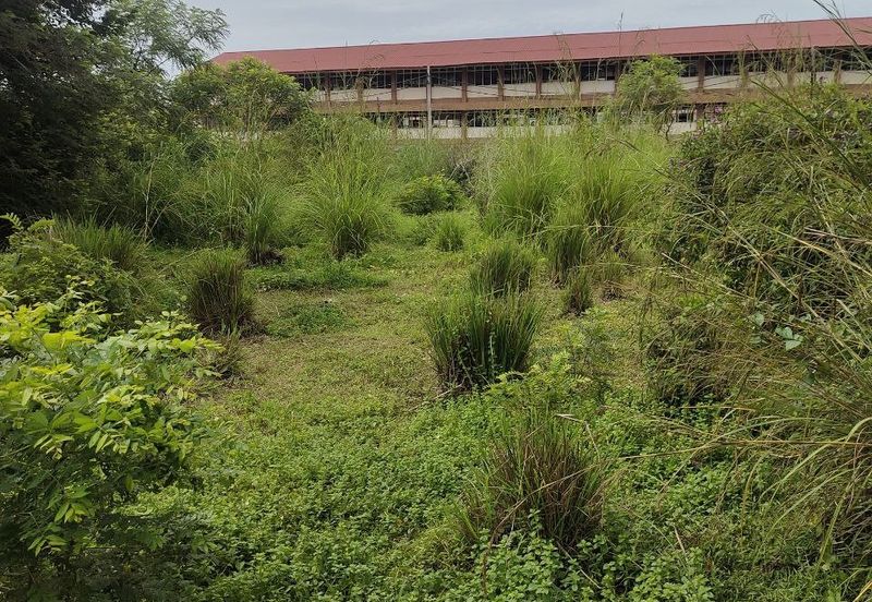 Tanah Lot Banglo Melor