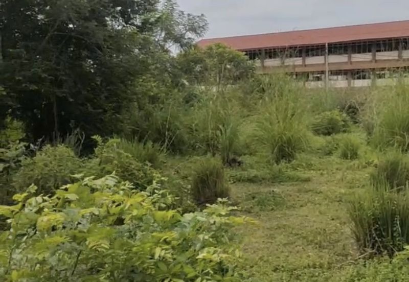 Tanah Lot Banglo Melor