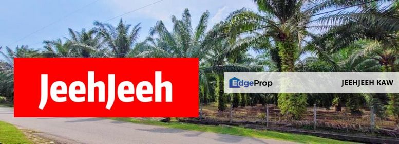 6.6 Acres Roadside Land for SALE @ Semeling Kedah, Kedah, Bedong