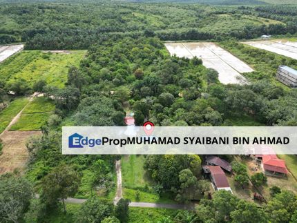 🌾 Tanah Pertanian + Sebuah Rumah Untuk Dijual! 🌿 📍 Kg Batu Puteh  Karangan, Kulim Kedah, Kedah, Kulim