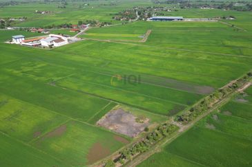 Tanah Tapak Rumah di Gelam, Alor Setar